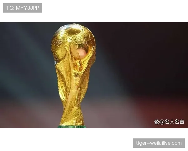 佛得角队能否创造历史首次晋级2026世界杯 佛得角队能否创造历史首次晋级2026世界杯